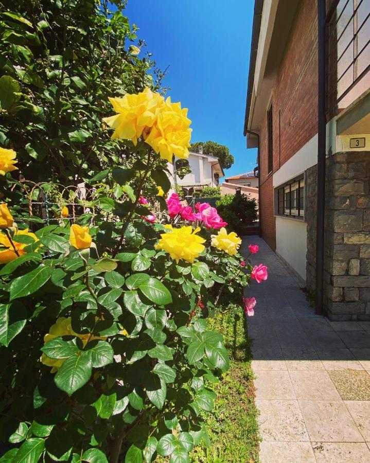 Casa Summer Чечина Екстериор снимка