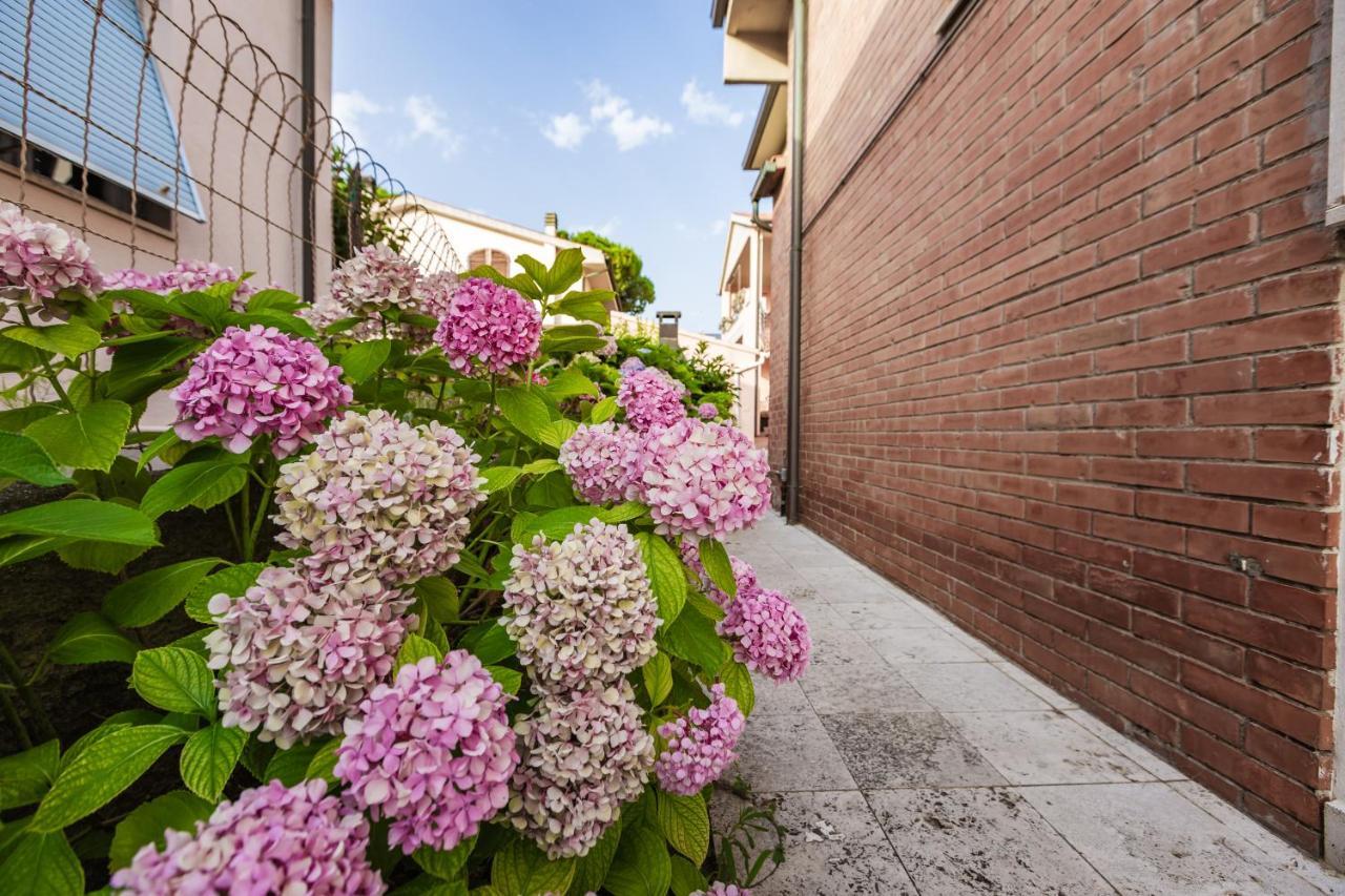Casa Summer Чечина Екстериор снимка